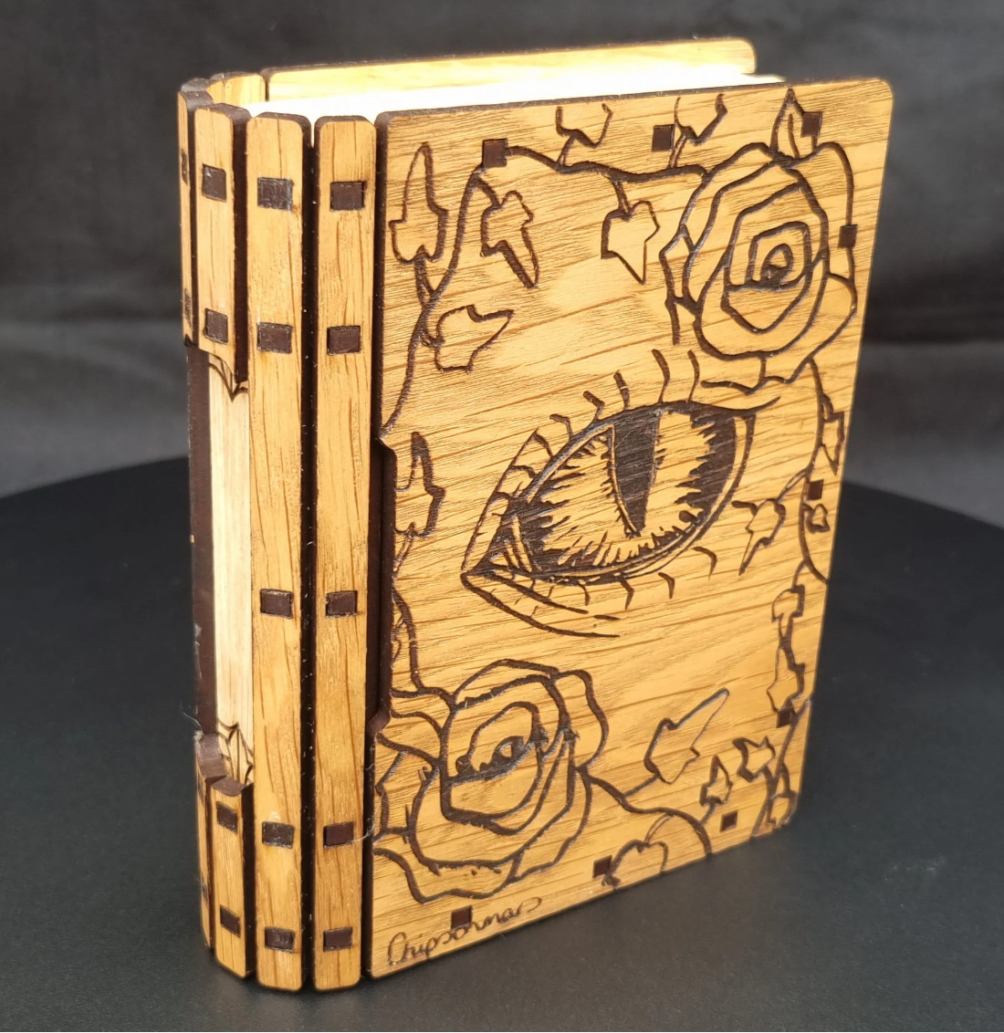 Special Edition Sliding Storage Book